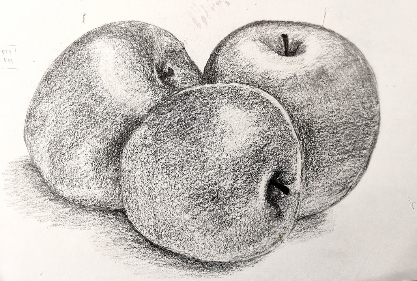 Apples- Hand sketch